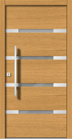 Haustür Modern H121E
