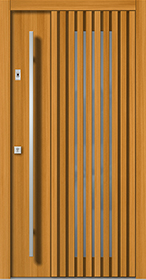 Haustür Modern H195