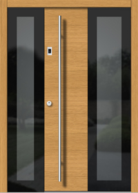 Haustür Vetro H305