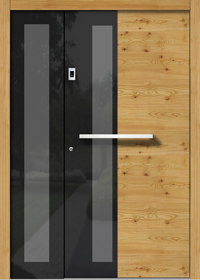 Haustür Vetro H310