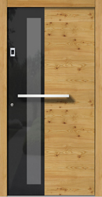 Haustür Vetro H310